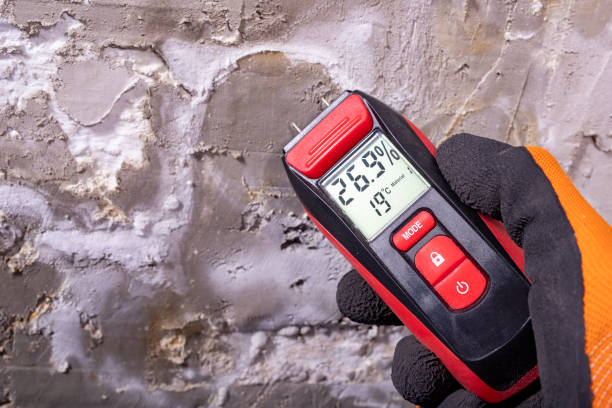 Best Industrial Mold Remediation in Hopkinsville, KY