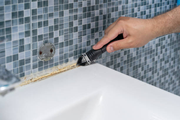 Professional Mold Remediation in Hopkinsville, KY