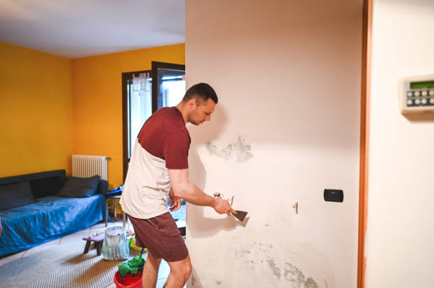 Best Attic Mold Remediation in Hopkinsville, KY